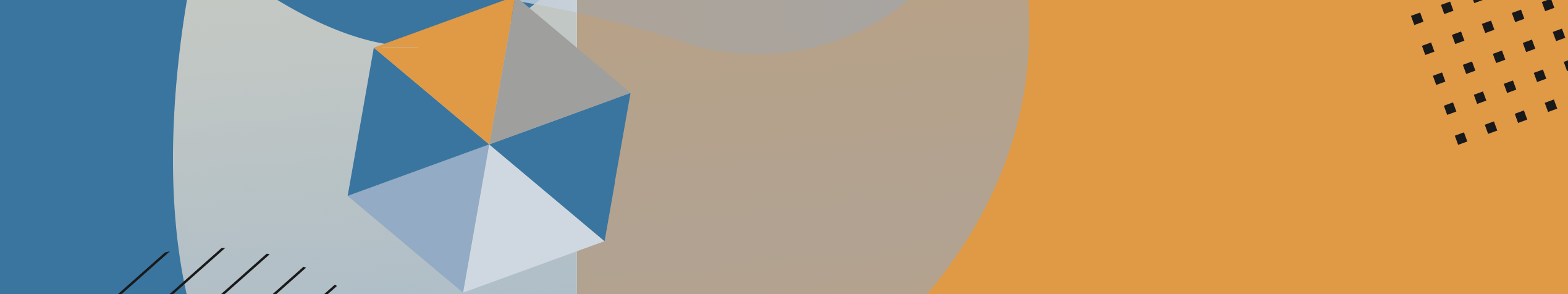 PROFESSIONAL DEVELOPMENT OF SCHOOL PRINCIPALS FOR CREATING AN INCLUSIVE SCHOOL CULTURE: