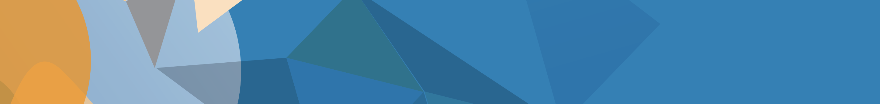 DEVELOPING COMPETENCIES OF SCHOOL PRINCIPALS FOR INCLUSIVE SCHOOL LEADERSHIP: