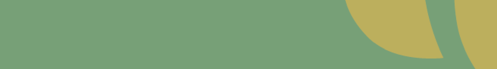 SCHOOL PRINCIPALS' PARTICIPATION IN POLICY